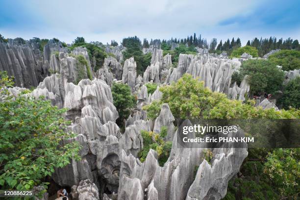 A scenic view of sanqu stone forest