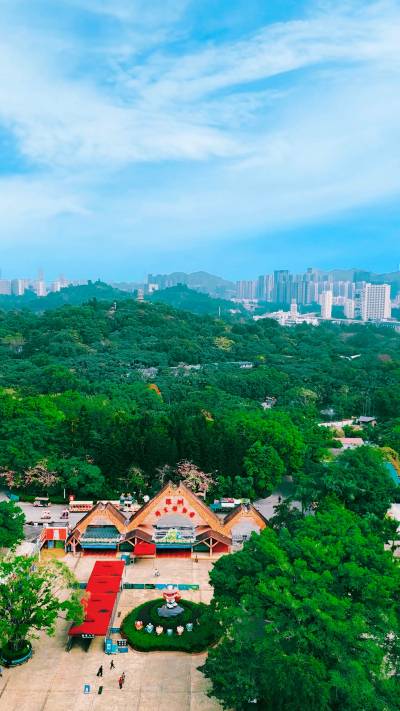 Experience the Thrill of Nature at Shenzhen Safari Park