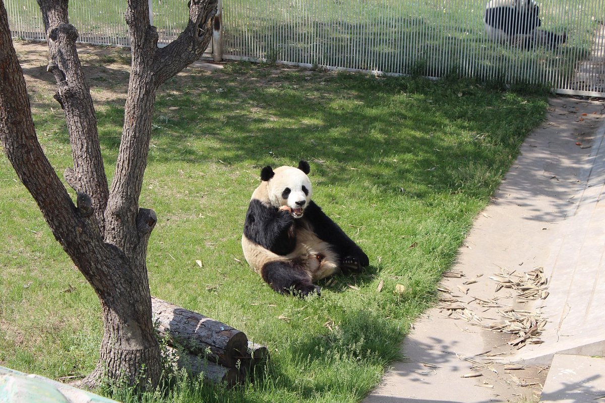 A scenic view of Taiyuan Zoo