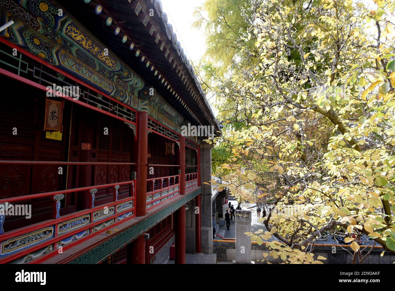 A scenic view of tanzhe_temple