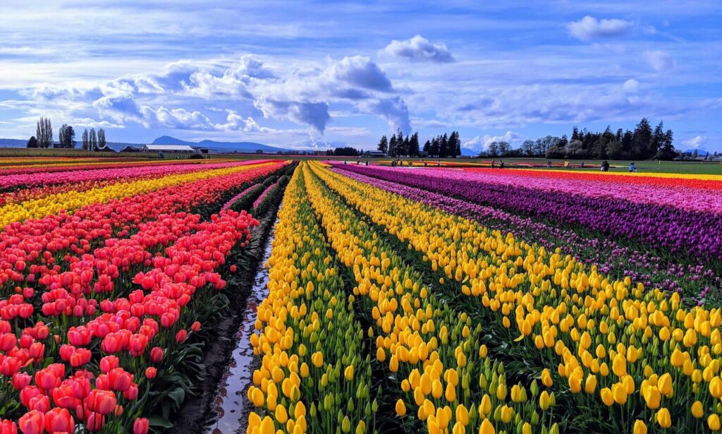 Why The World’s Best Spring Should Be on Your Travel Bucket List