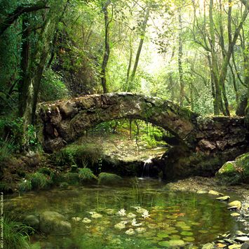A scenic view of tongjing_multi_arch_stone_bridge