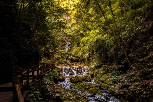 A scenic view of wansheng_stone_forest