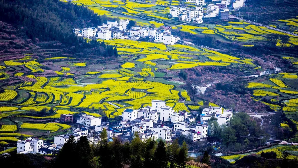 A scenic view of Wuyuan Jiangwan