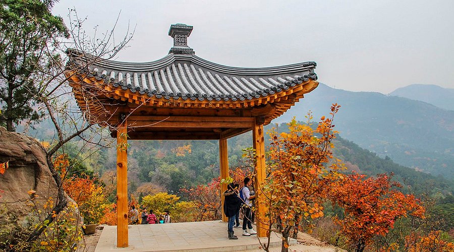 Unwind in Xiangshan Park: Top Activities for Nature Lovers