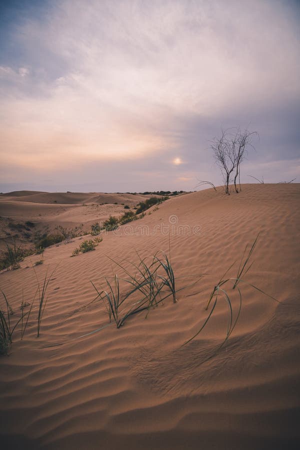 A scenic view of xiangshawan_singing_sand_ravine