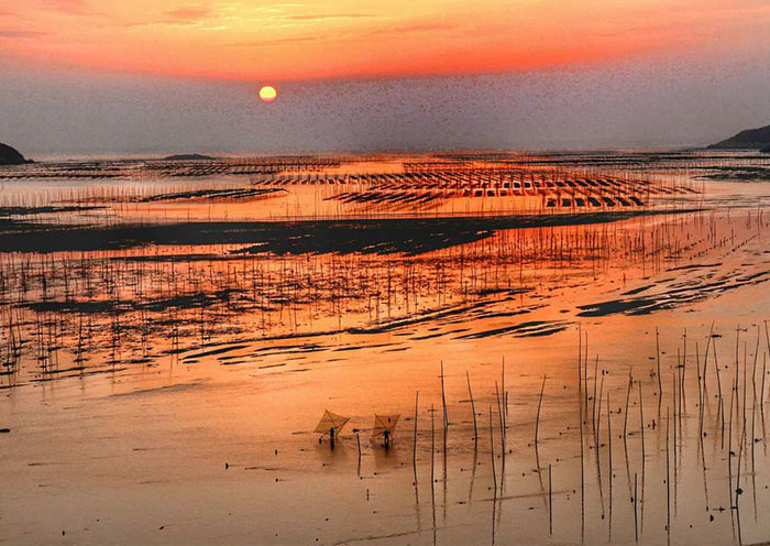 Xiapu Mudflat: The Hidden Gem of China’s Coastal Wonders