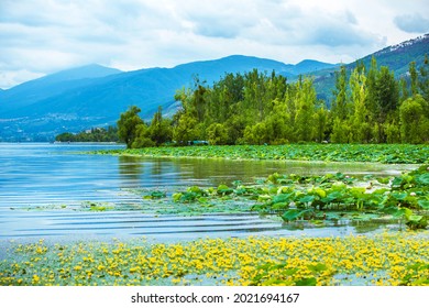 A scenic view of xichang qionghai lake