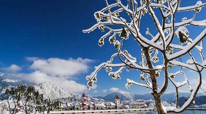 Xiling Snow Mountain: The Perfect Destination for Nature Lovers