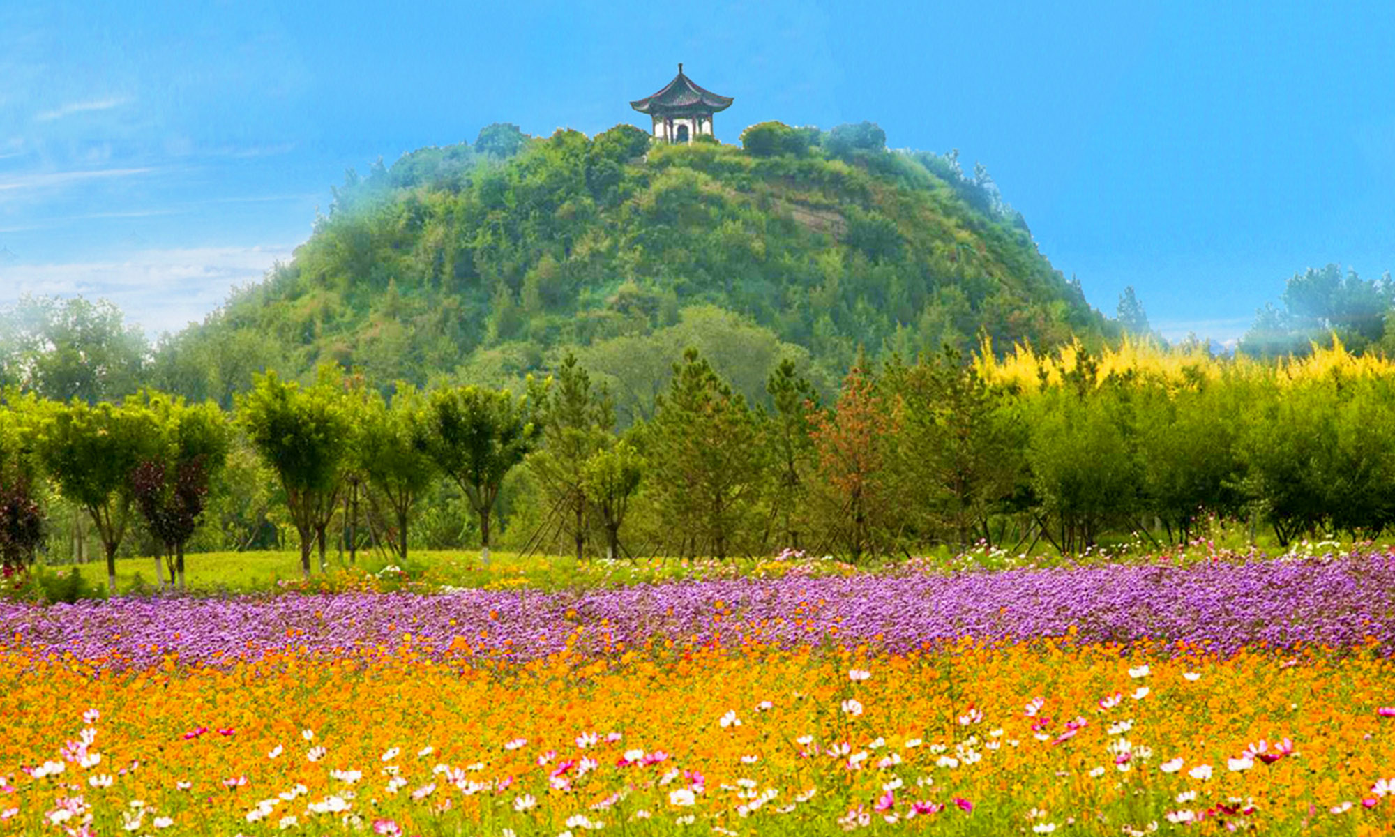 A scenic view of Xiongjiazhong Tomb Site