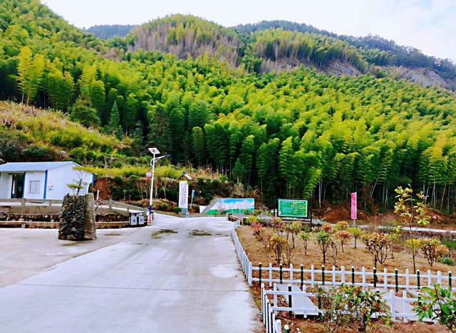 Xuejiagang Site: Where History Meets Nature in Stunning Landscapes