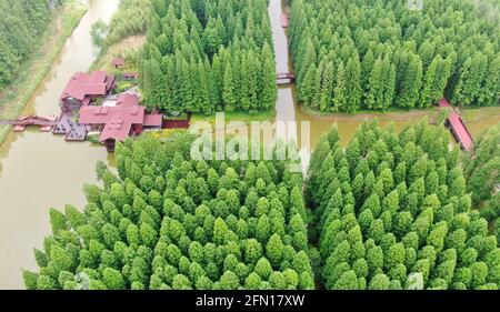 A scenic view of yancheng site