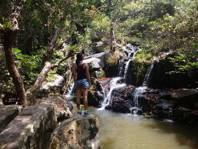 A scenic view of yanoda_rainforest_cultural_tourism_zone