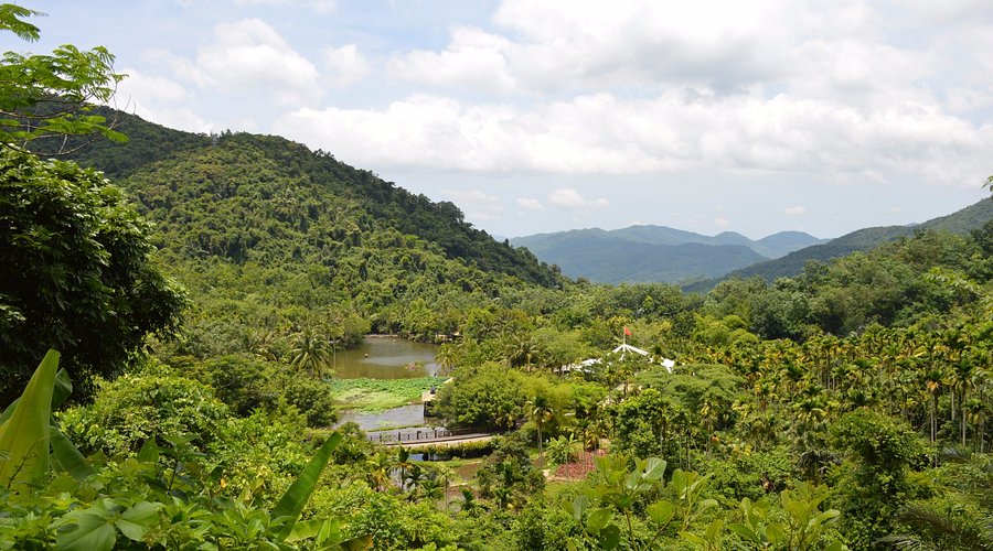 Explore the Enchantment of Yanoda Rainforest Cultural Tourism Zone: A Nature Lover’s Paradise