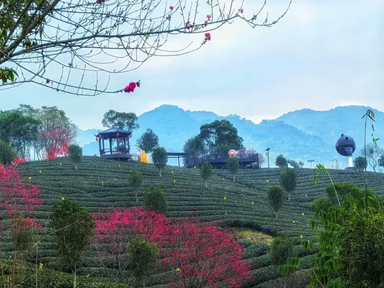A scenic view of yingde national forest park