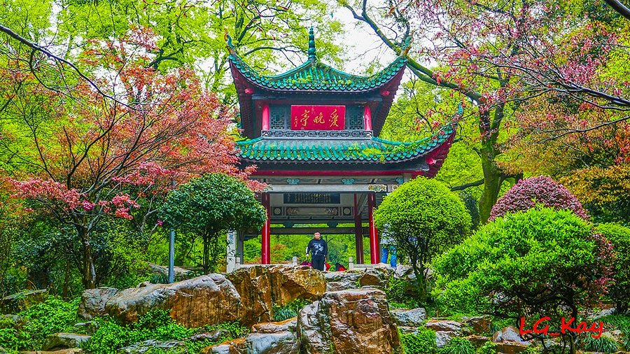 A scenic view of Yuelu Academy