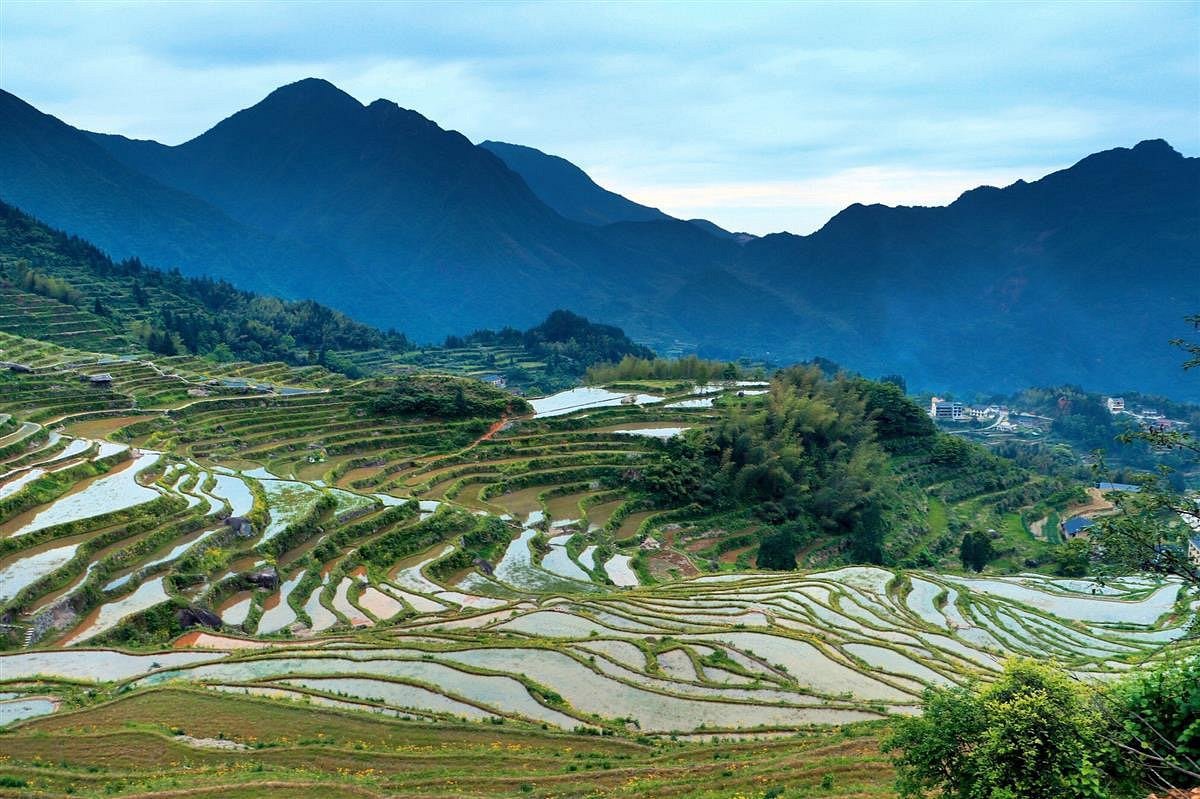 A scenic view of yunhe terraces