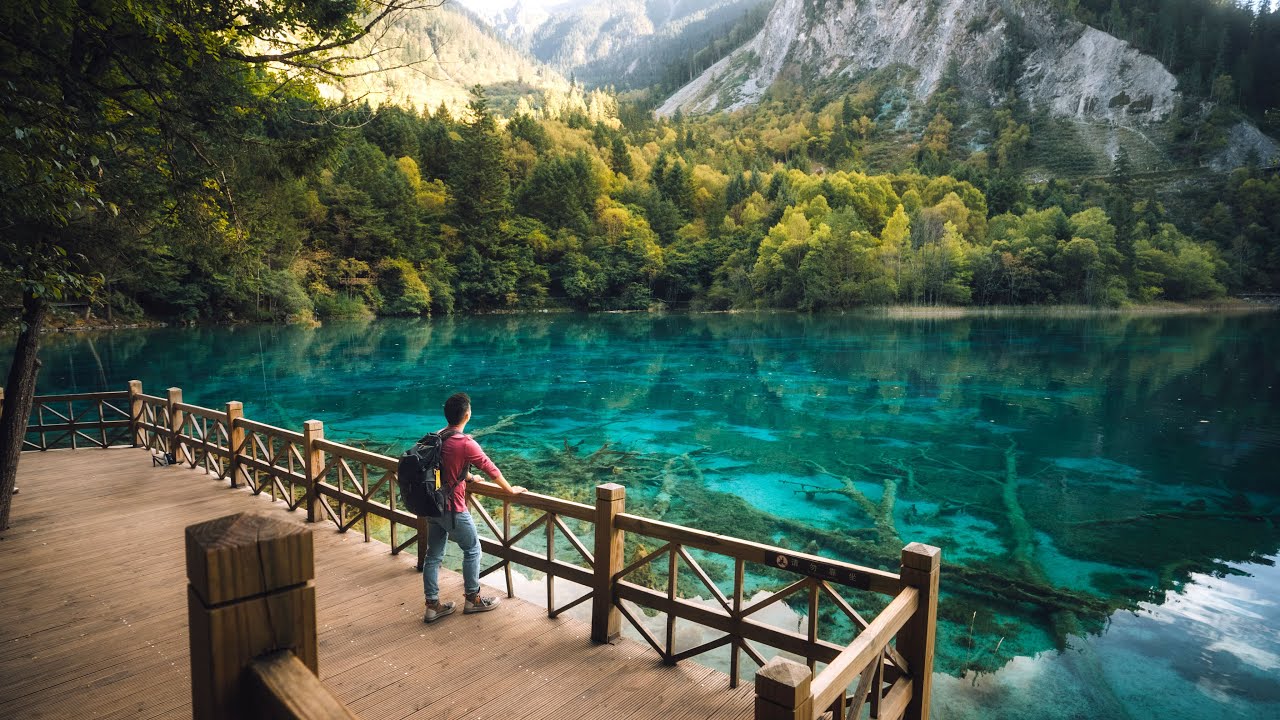 A scenic view of zhu lake park