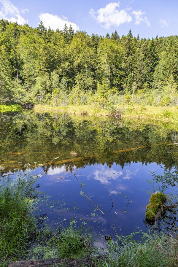 A Day at Zhu Lake Park: Tips for the Perfect Outdoor Adventure